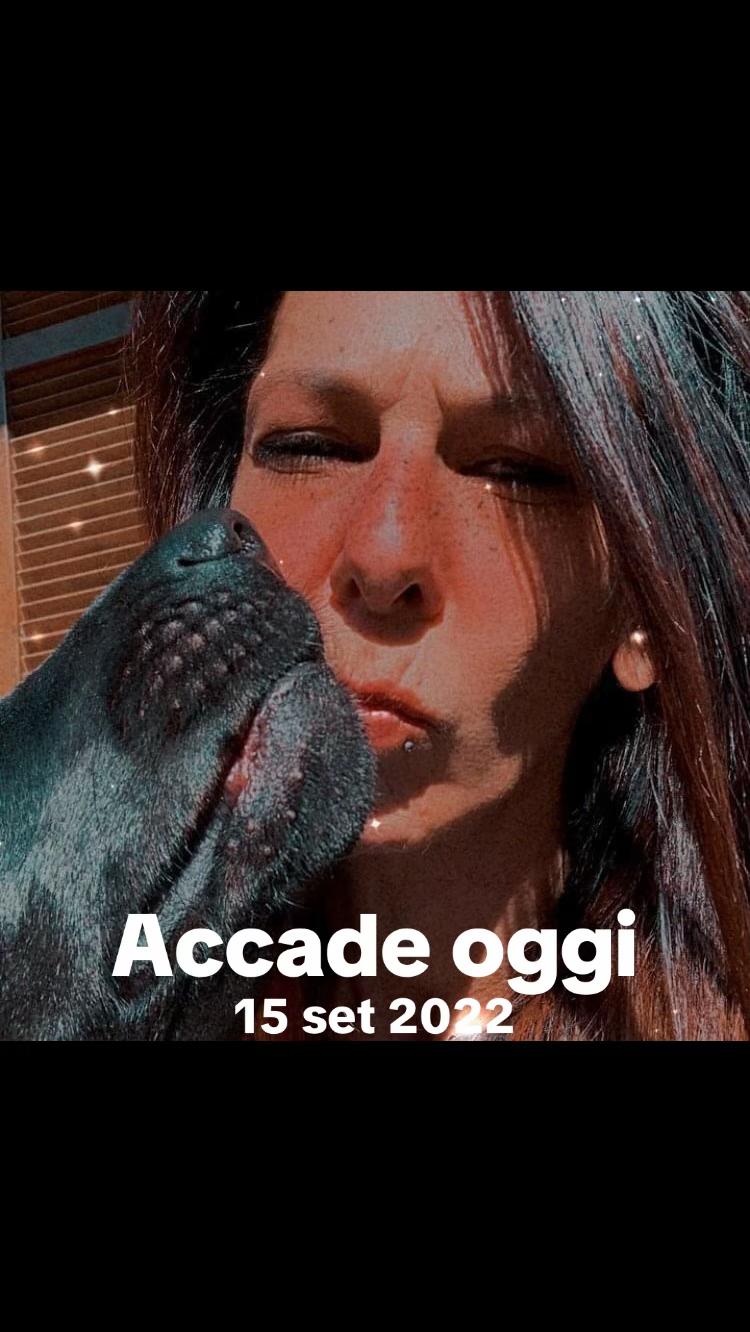 @Gra_Lagra_👑
