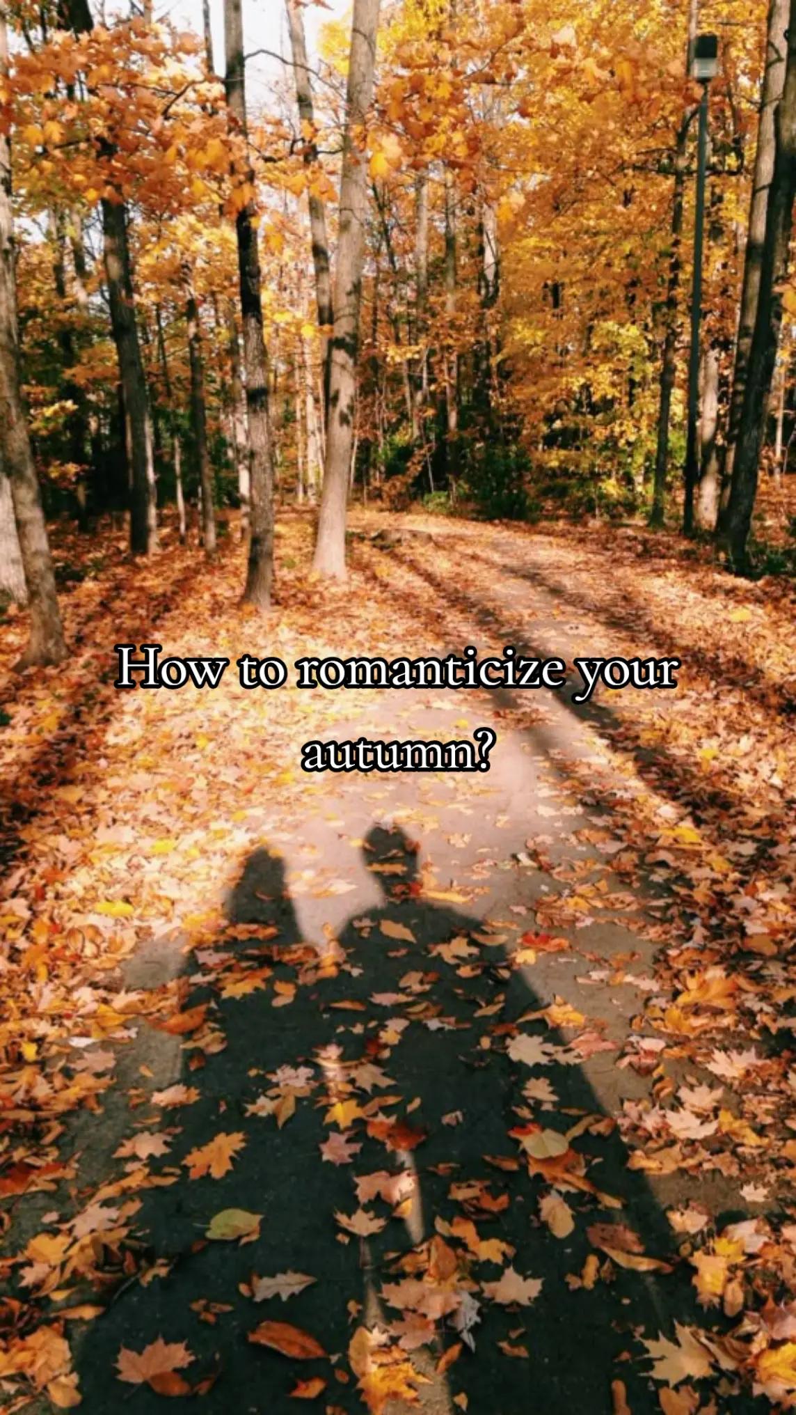 @🍂 seasons time 🍂