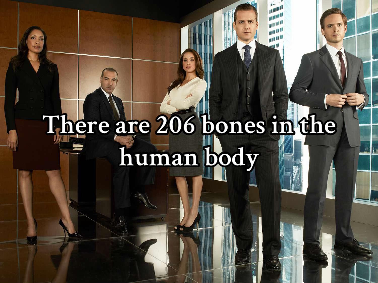 @Suits