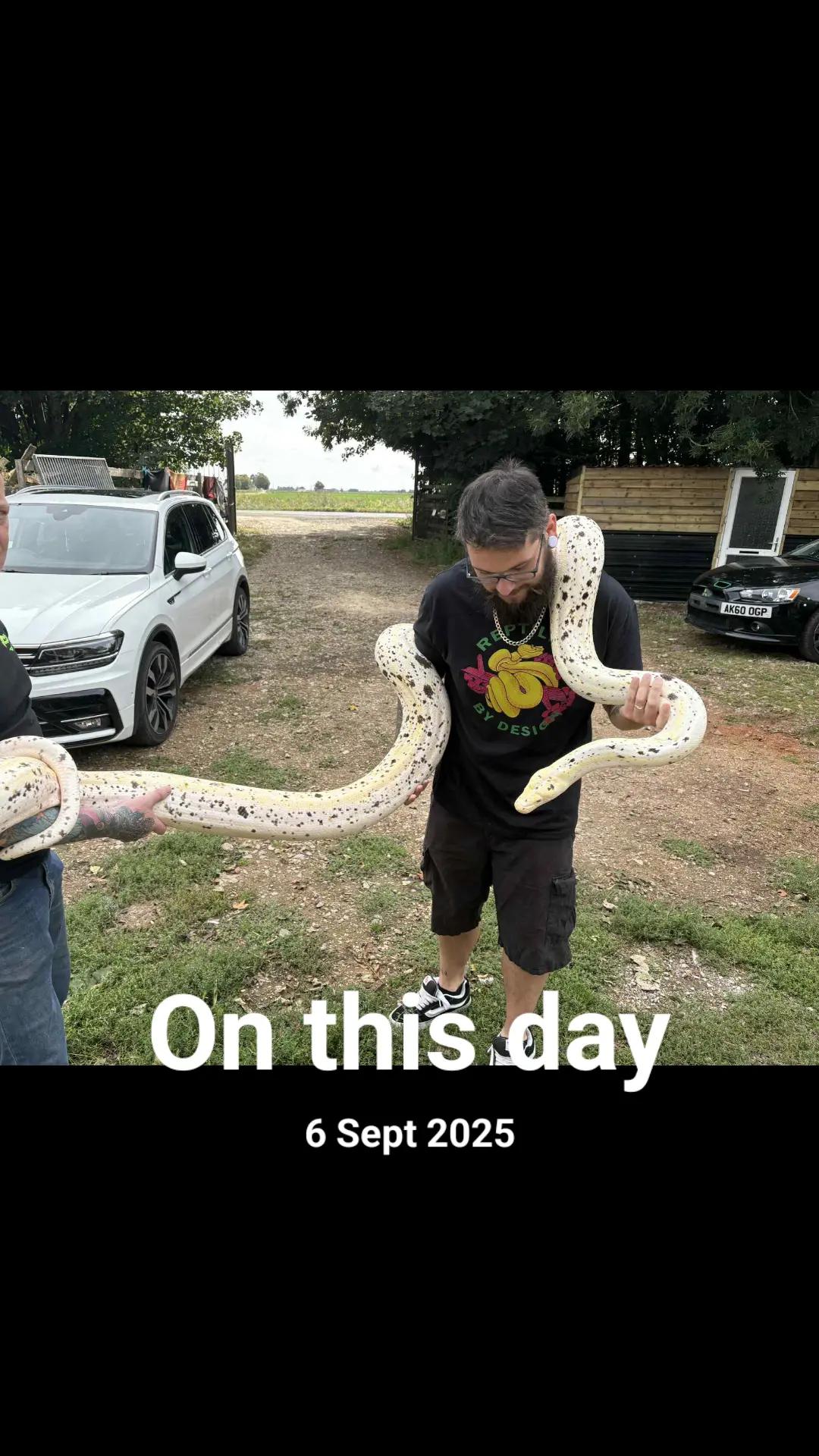 @T & N reptiles