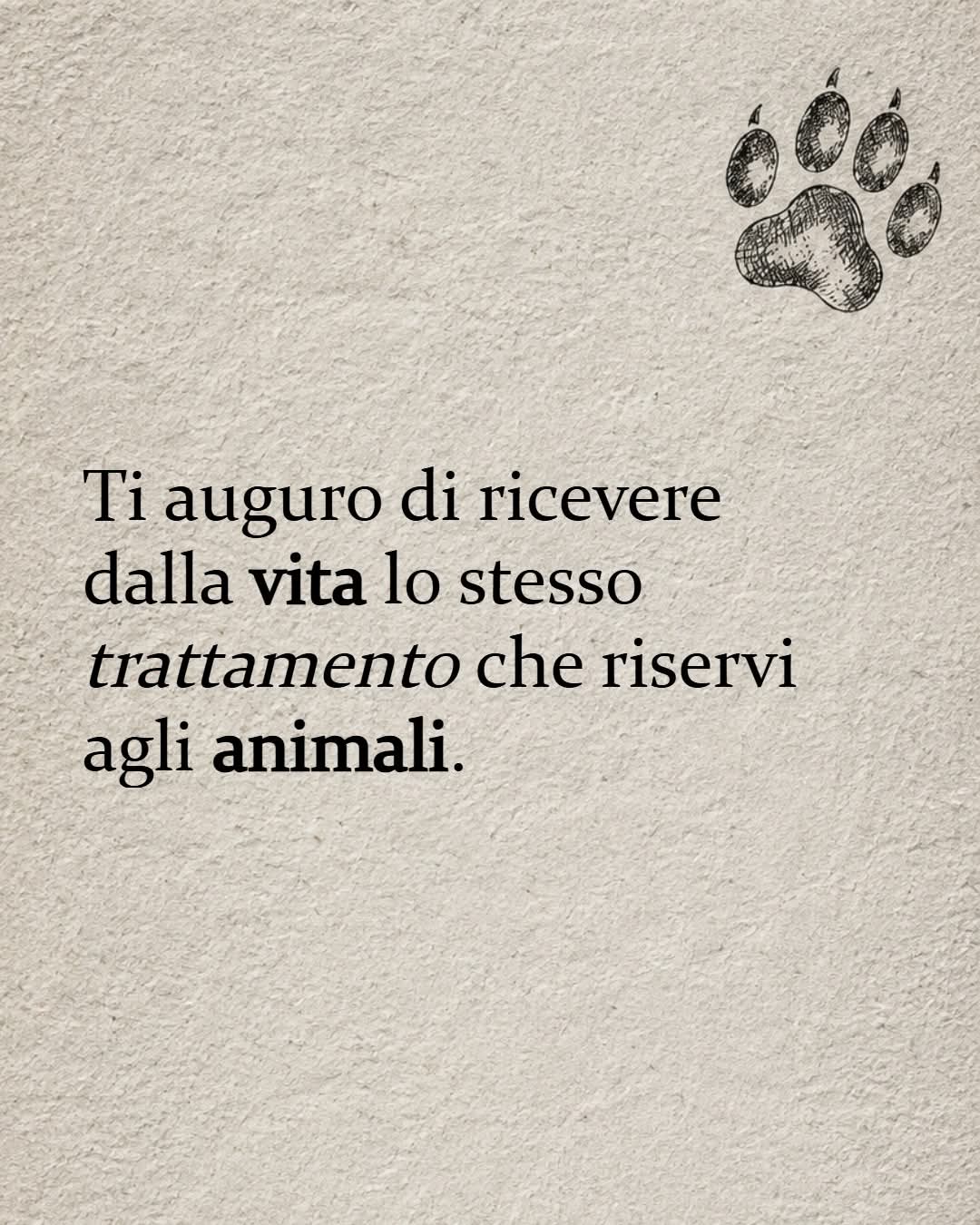 @mariadipaolo❤️❤️❤️