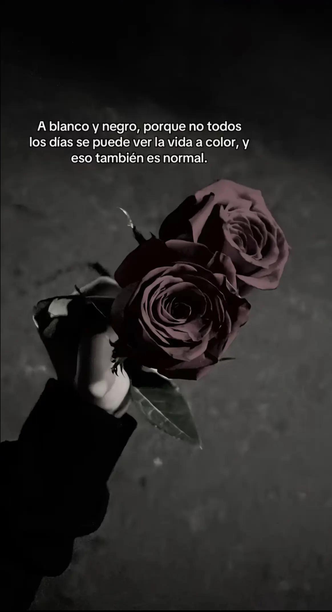 @Estiven_Ayala