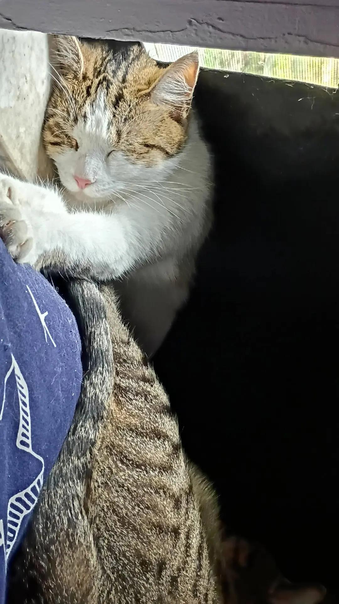@(◕ᴗ◕✿)