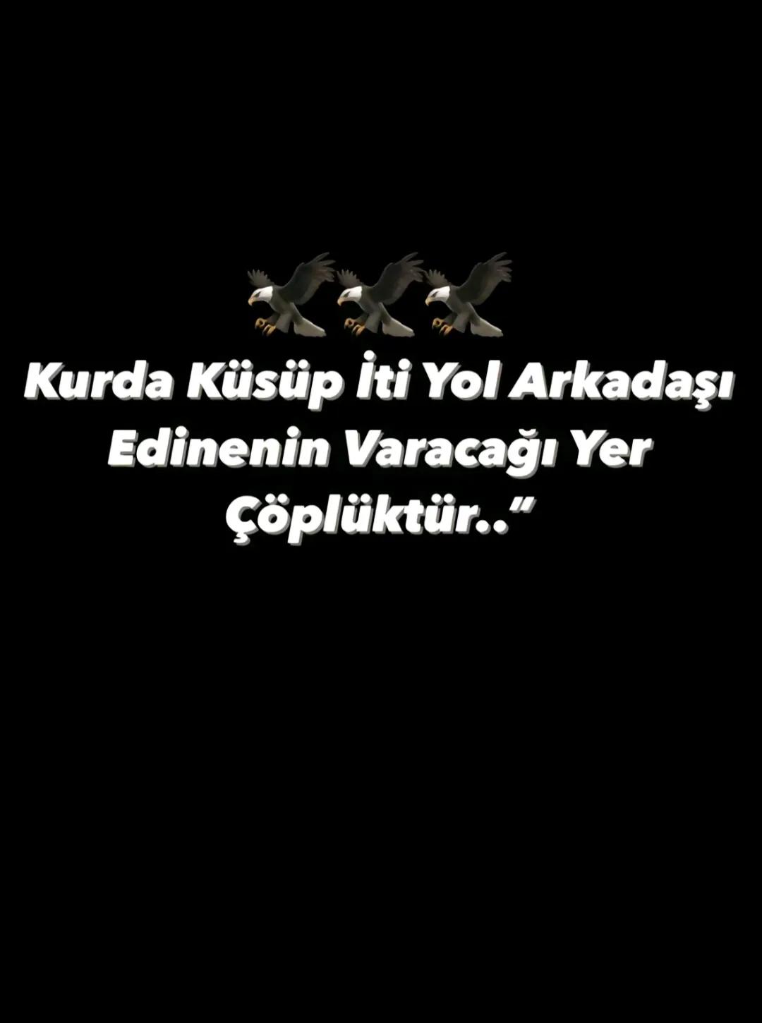 @Oğuzhan &Ccedil;elik