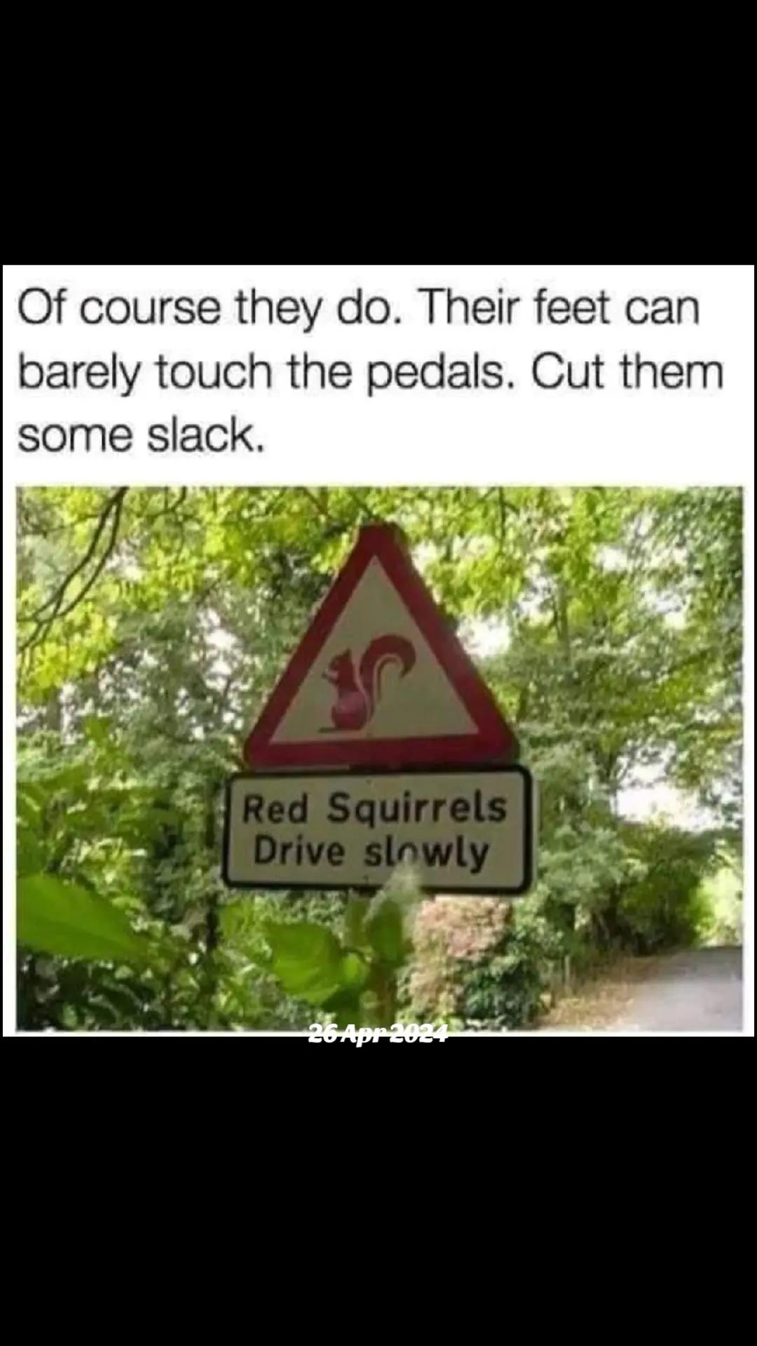 @dazza