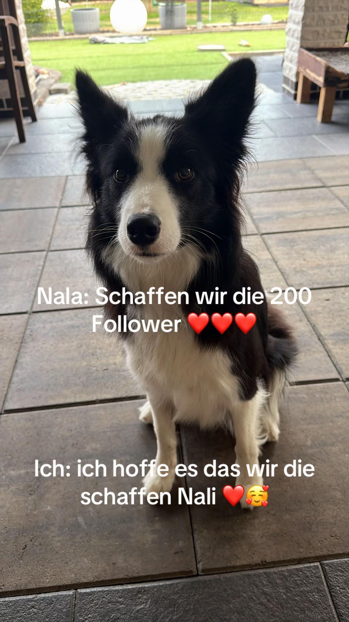 @Itzz_Nala