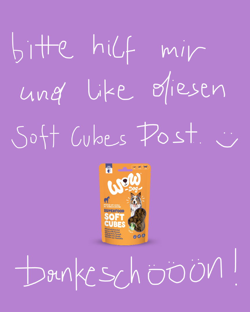 @wow.pet