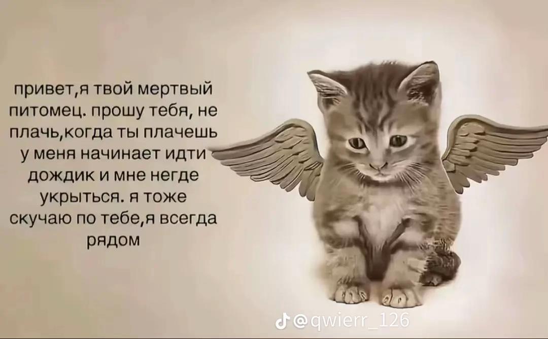 @Милова⚜️