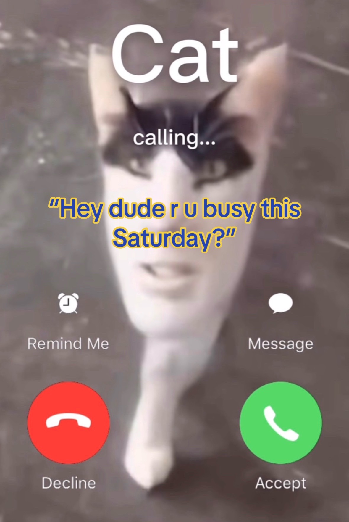@🦇⚒️