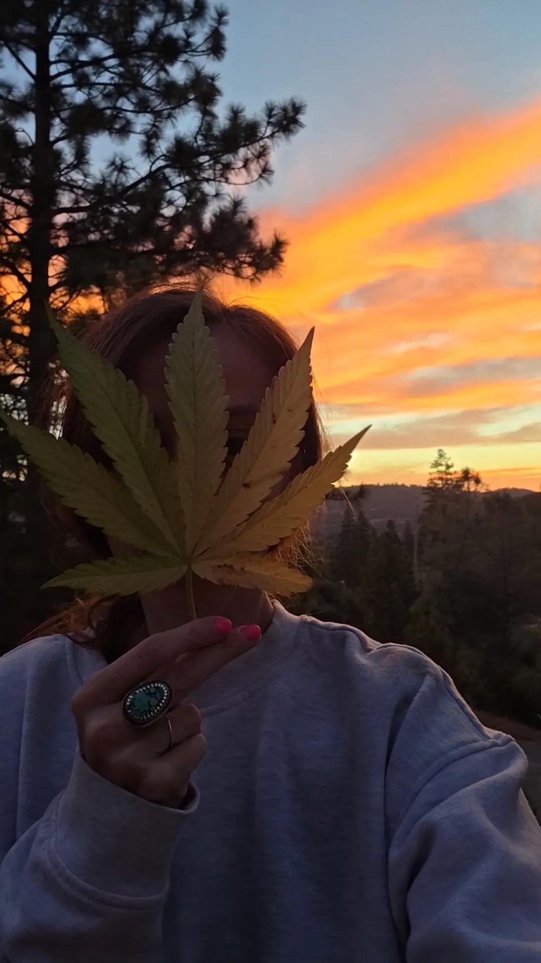 @mamagoonX6