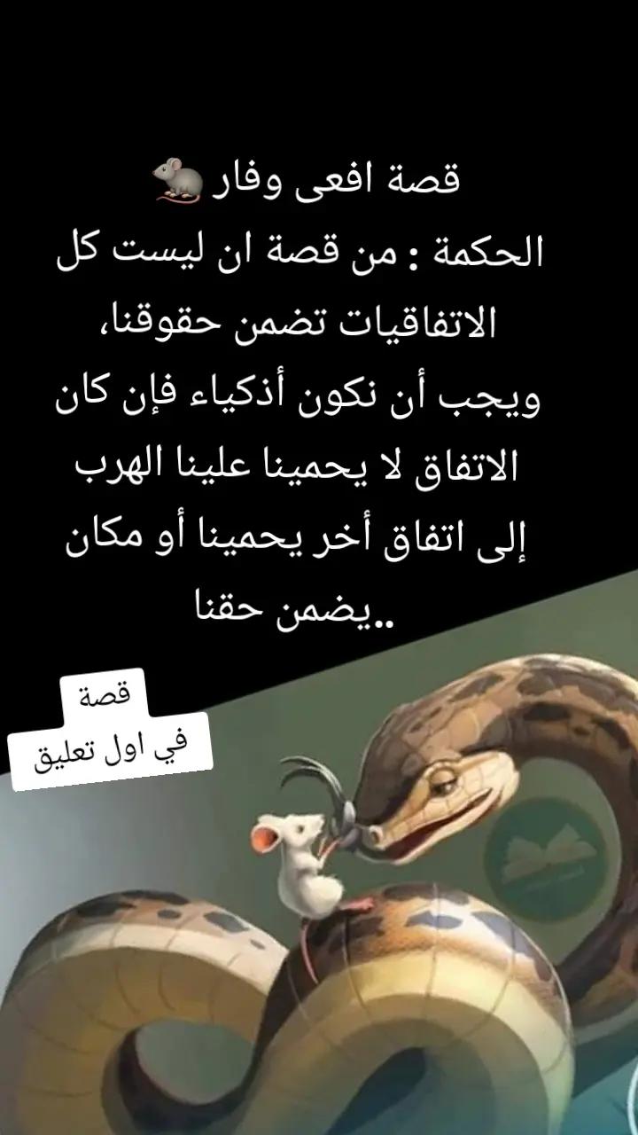 @سليم محتوى خاص بي قصص جميلة