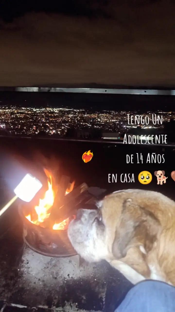 @Aleja_Doll