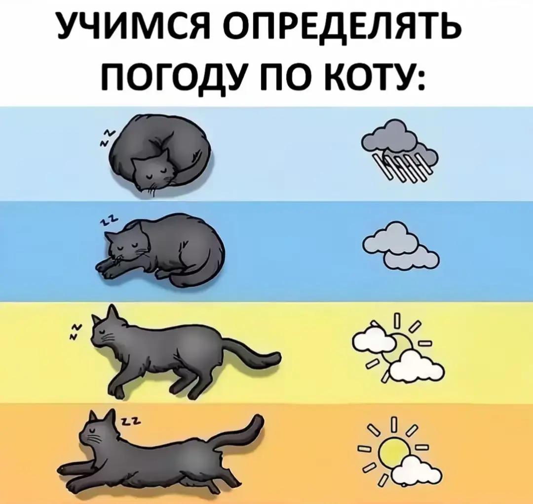 @user69894231751