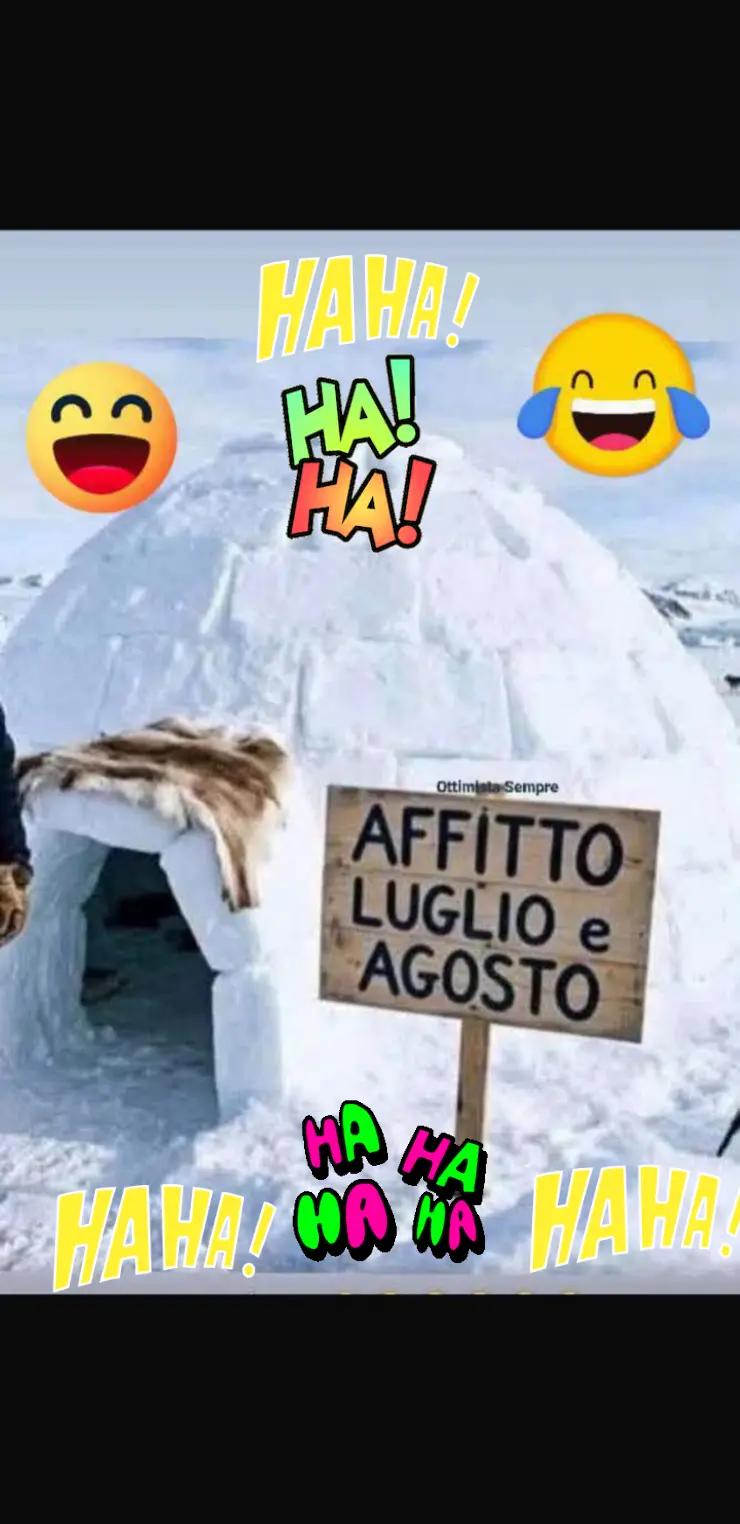 @vitomarabello2