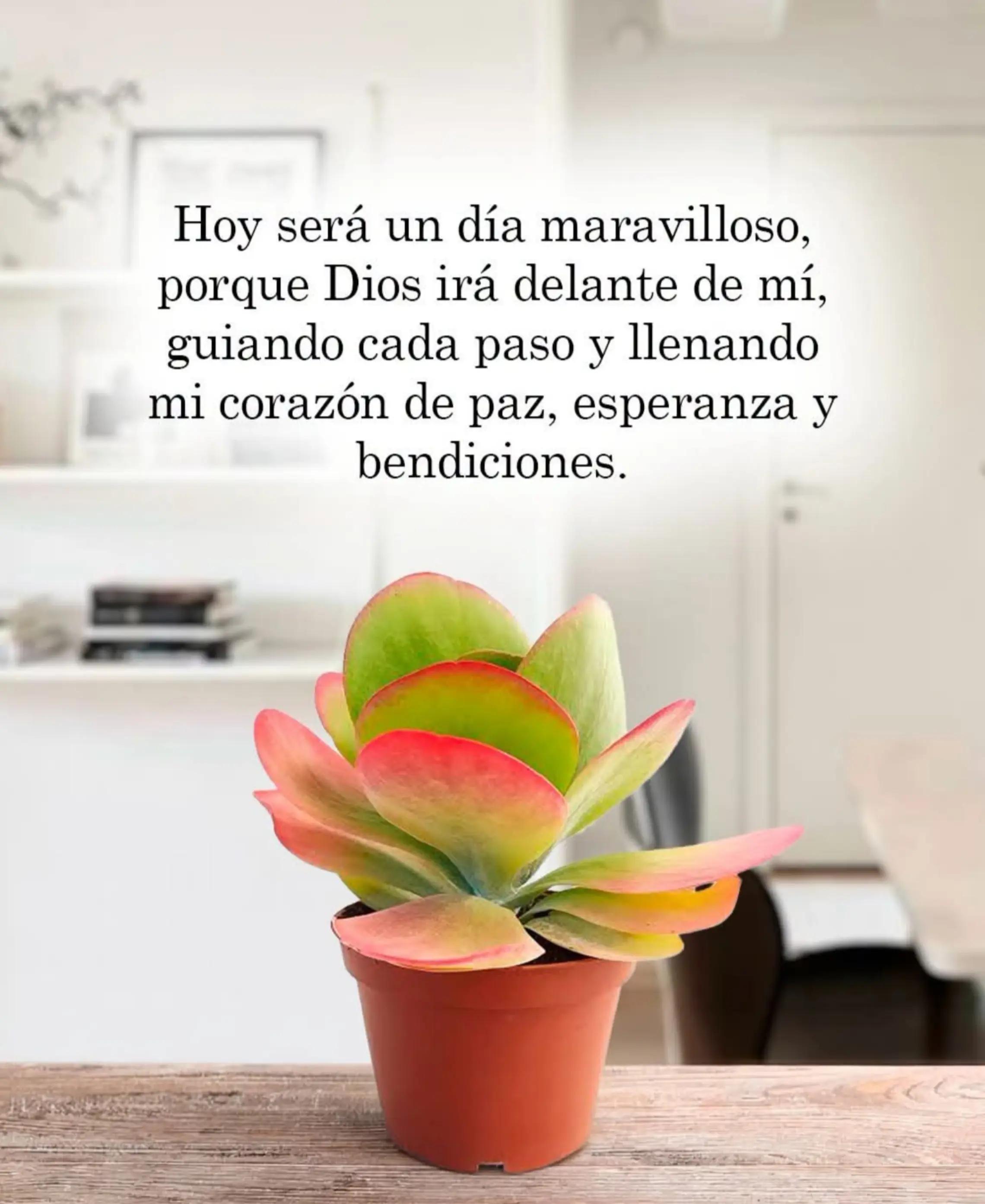 @Zoila Flores