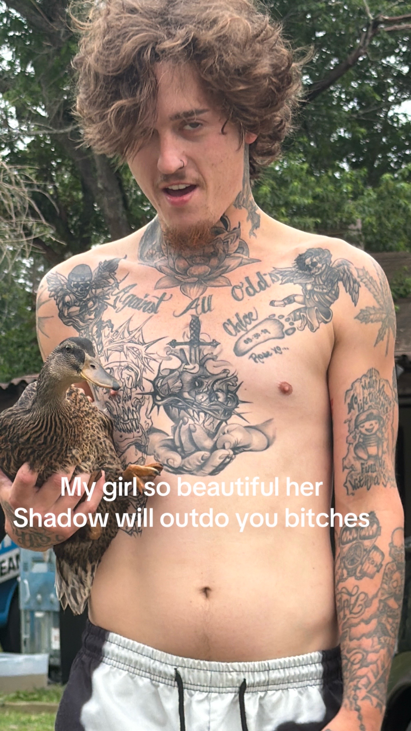 @dabofdill