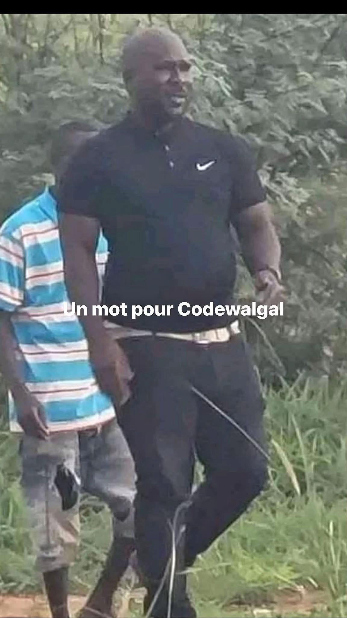 @code winguil