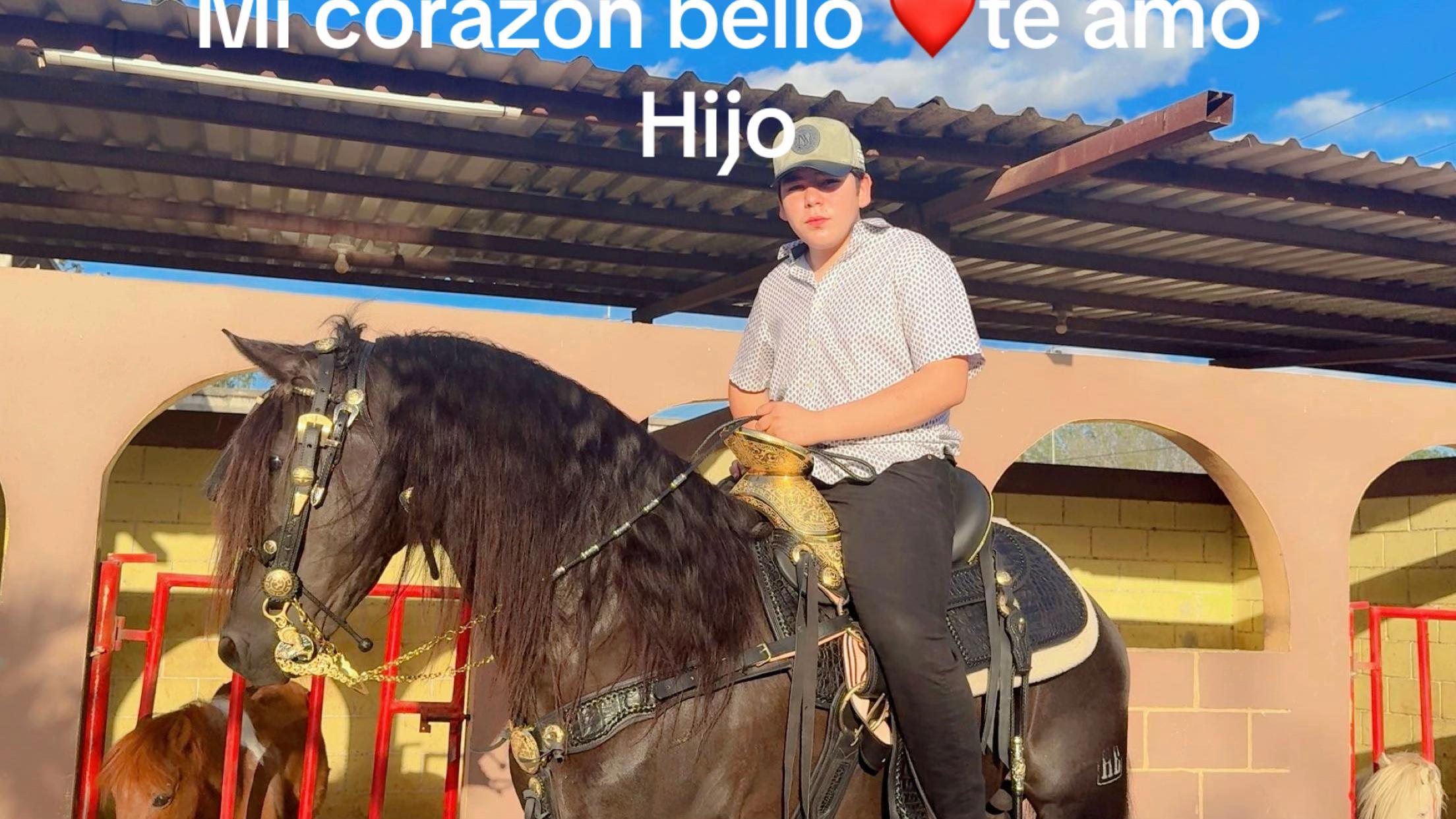 @Liliana De La Fuente,,,,,