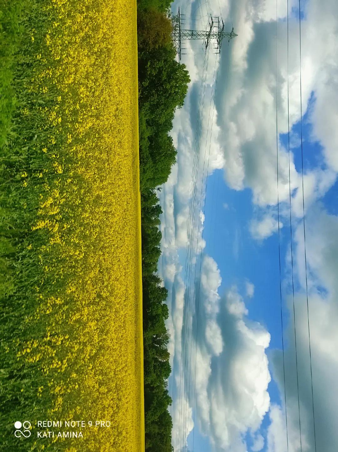 @Katrin 🇩🇪🇪🇺