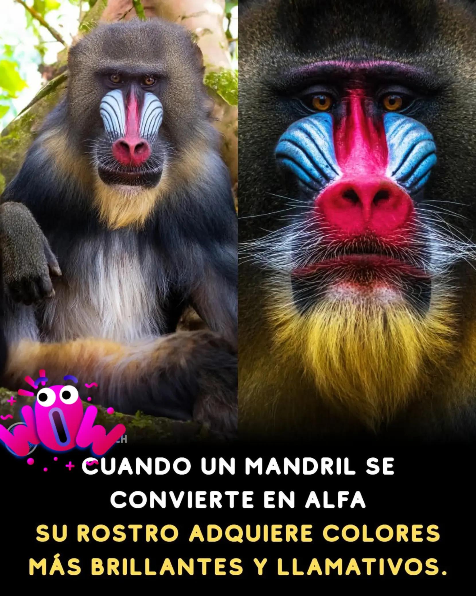 @😇 LORY