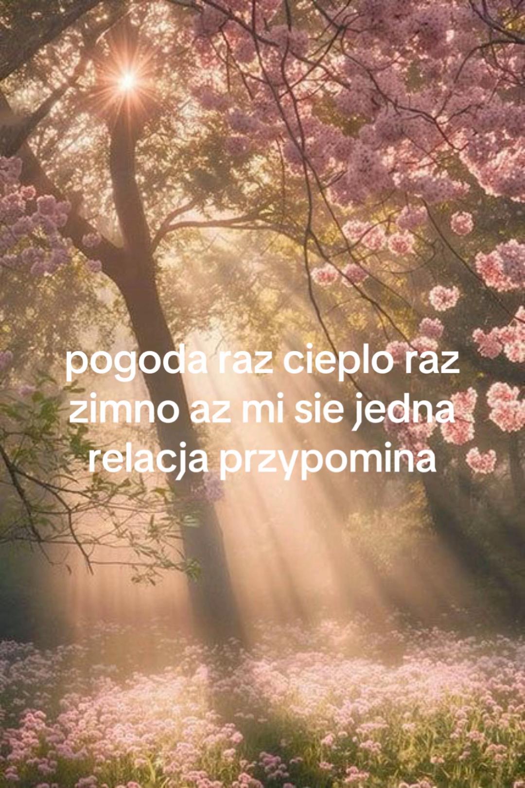 @wera 🪽