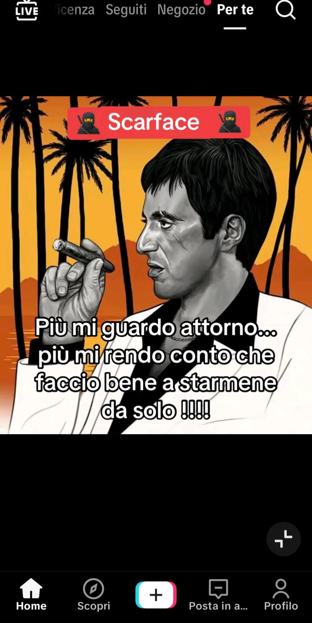 @Zio Leo