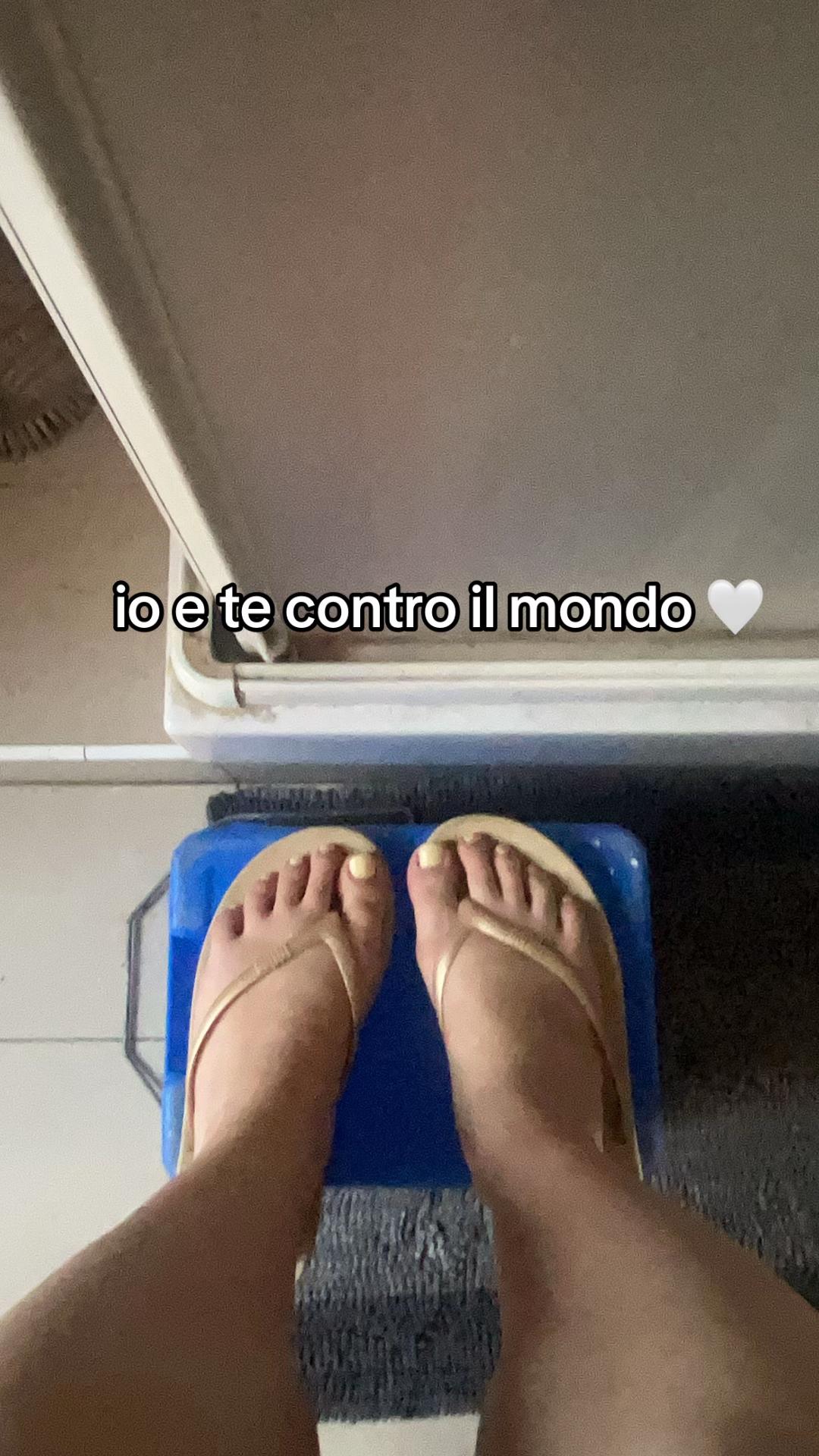 @pitbull🐕