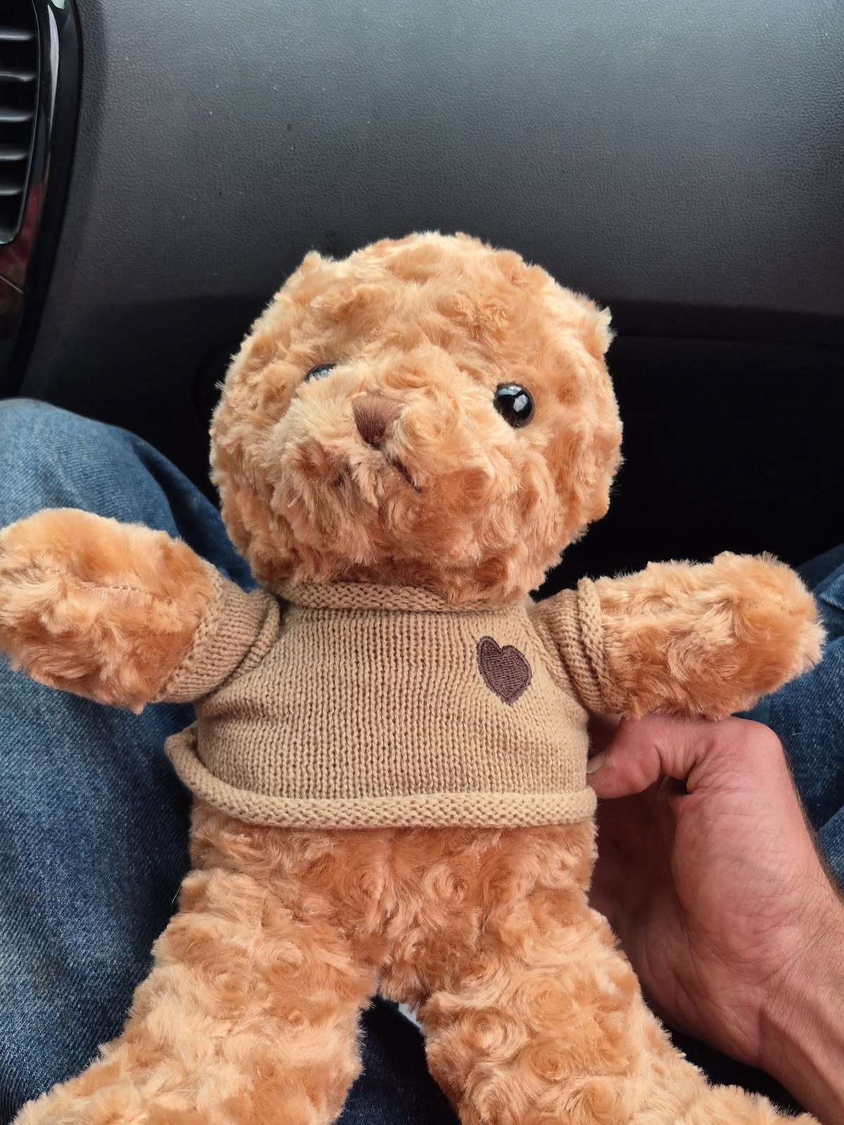 @🧸Littlebear🐻