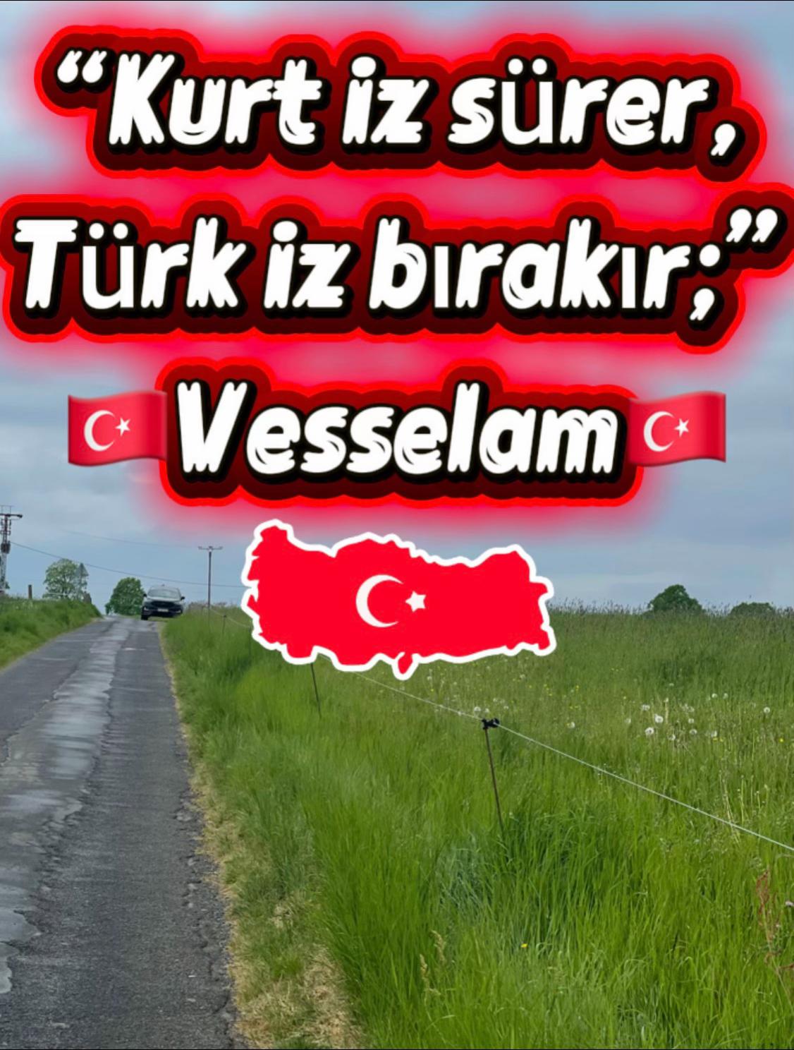 @dilavereryilmaz