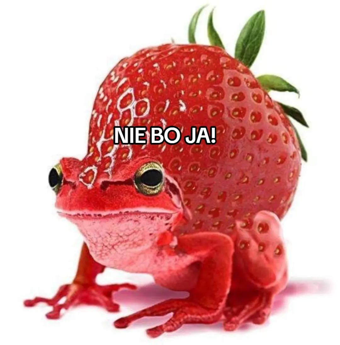 @♡░☆kcook♡░☆