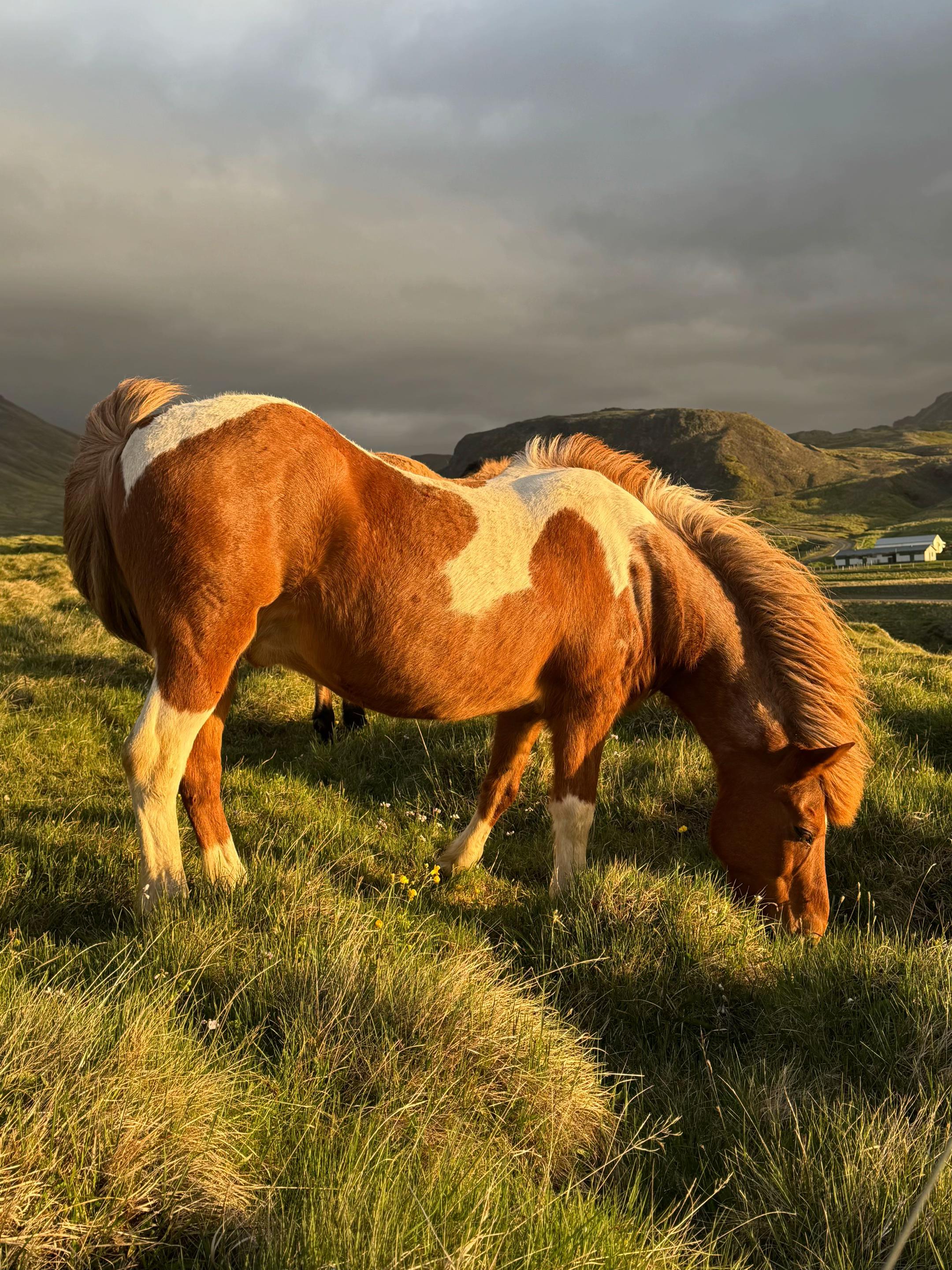@iceland_lovers
