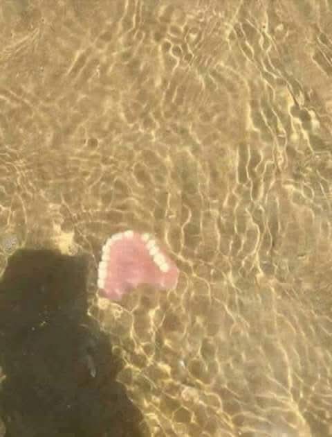 @raffaele padula
