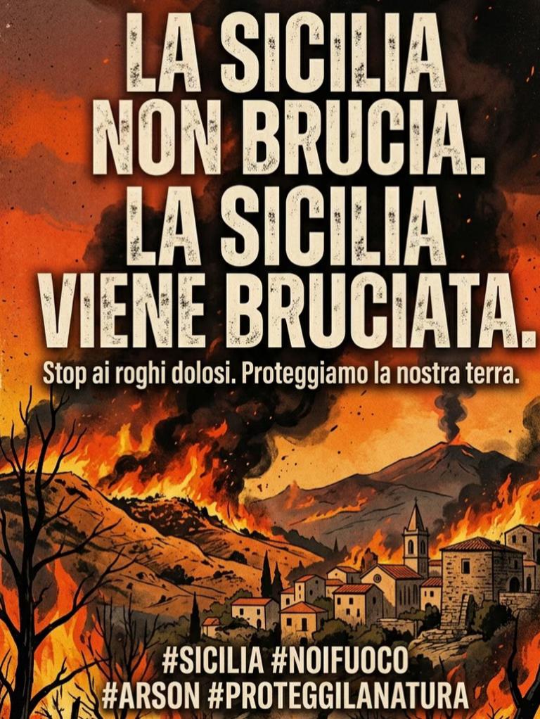 @cicciodomenico