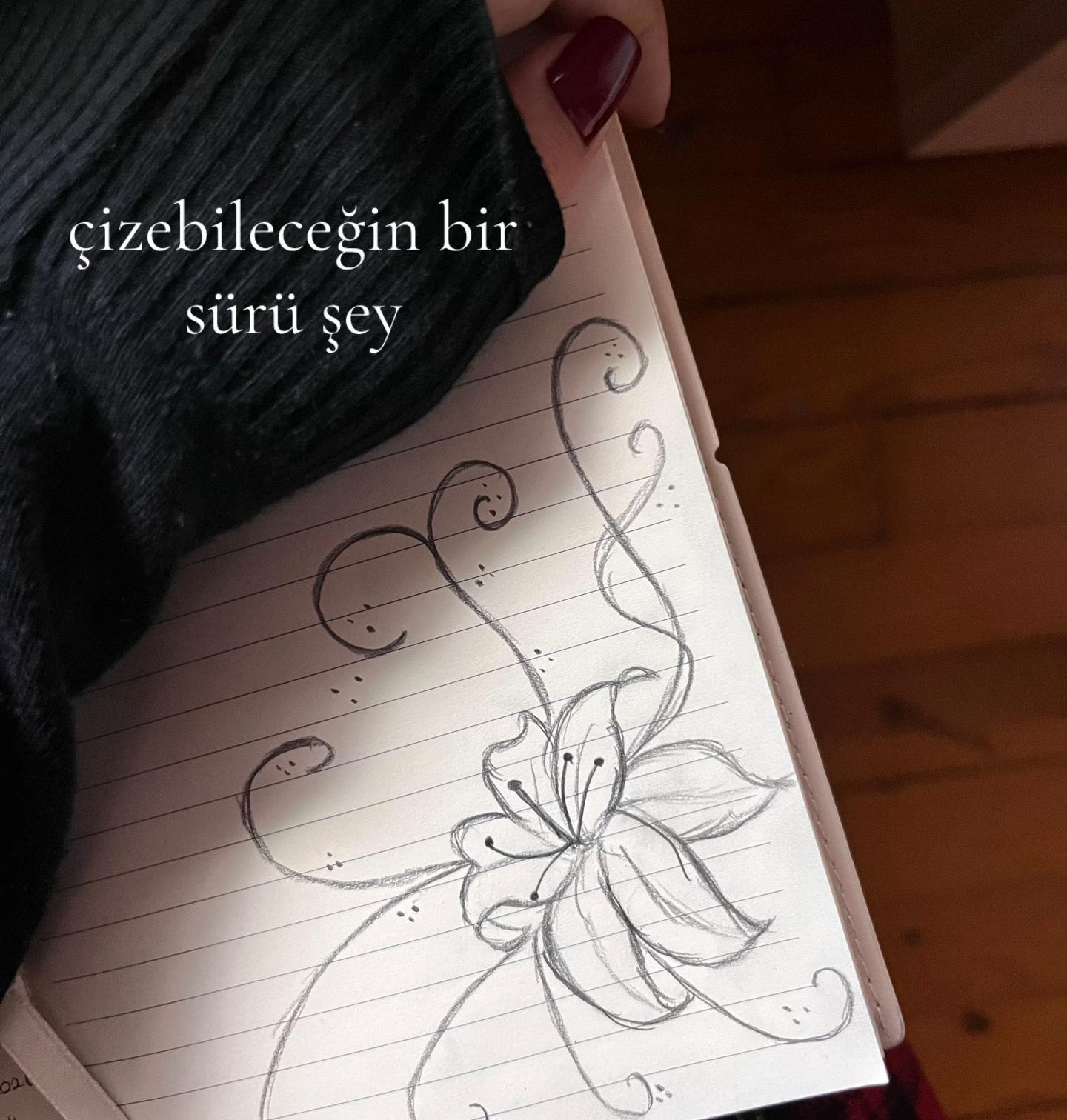 @˚｡⋆˚࿔ 𝓈