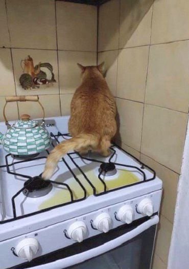 @Олег