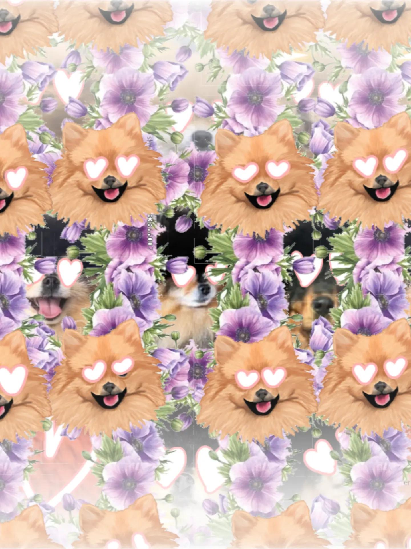 @♬♩♪♩ ♩♪♩♬Mهင H A♬♩♪♩ ♩♪♩♬