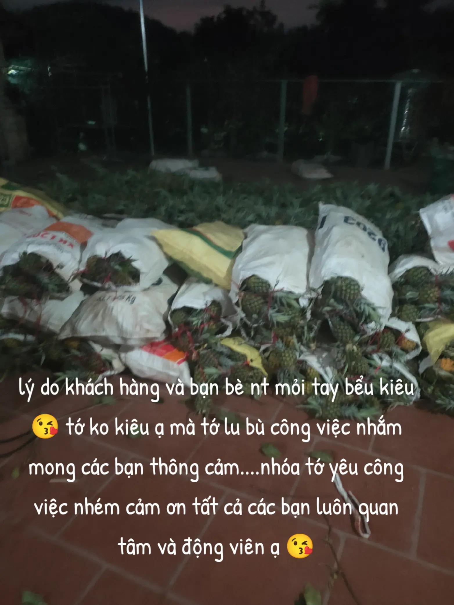 @Bầu trời nỗ lực 🌾