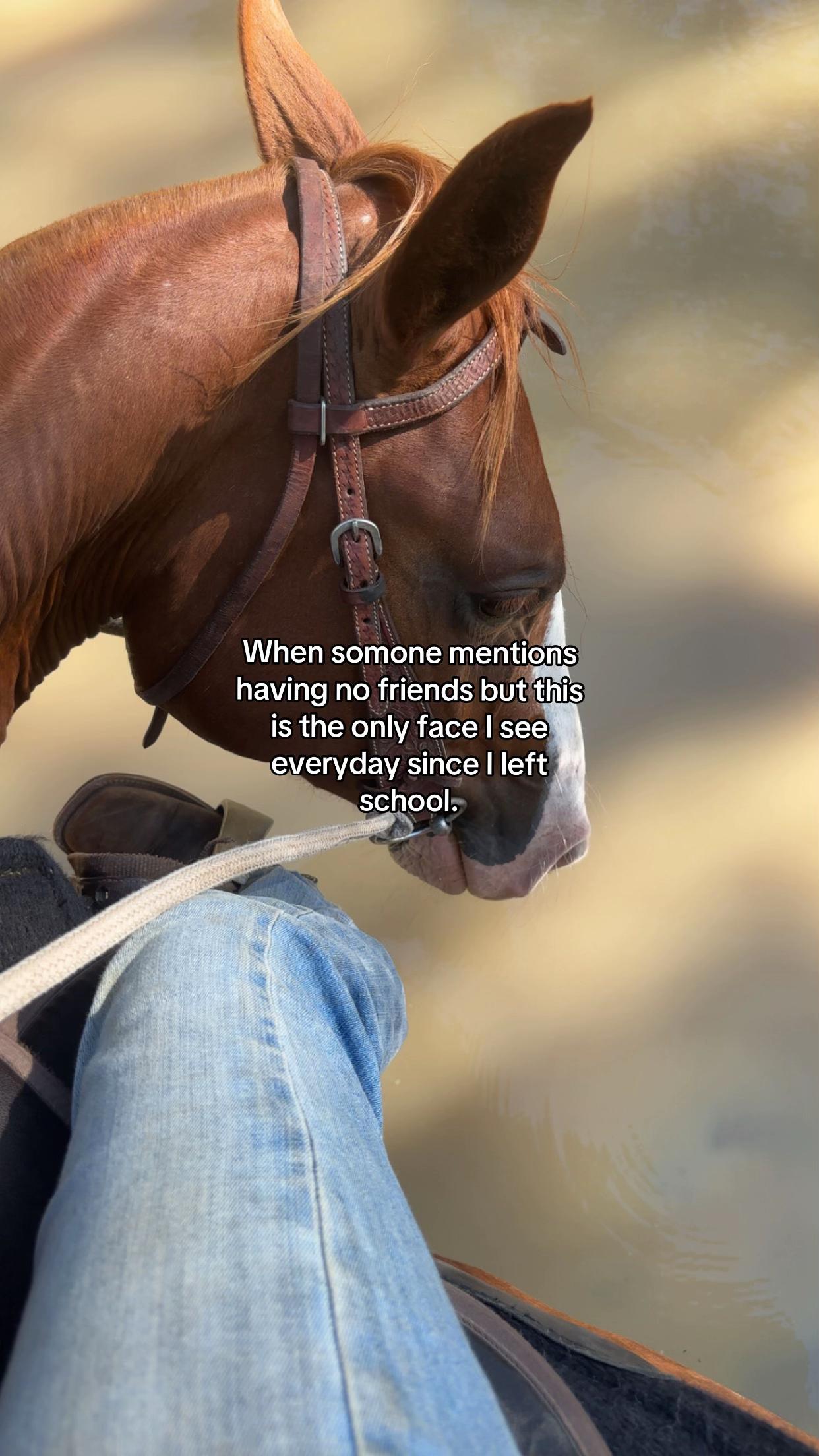 @𝓵𝓪𝔂𝓵𝓪𝓱