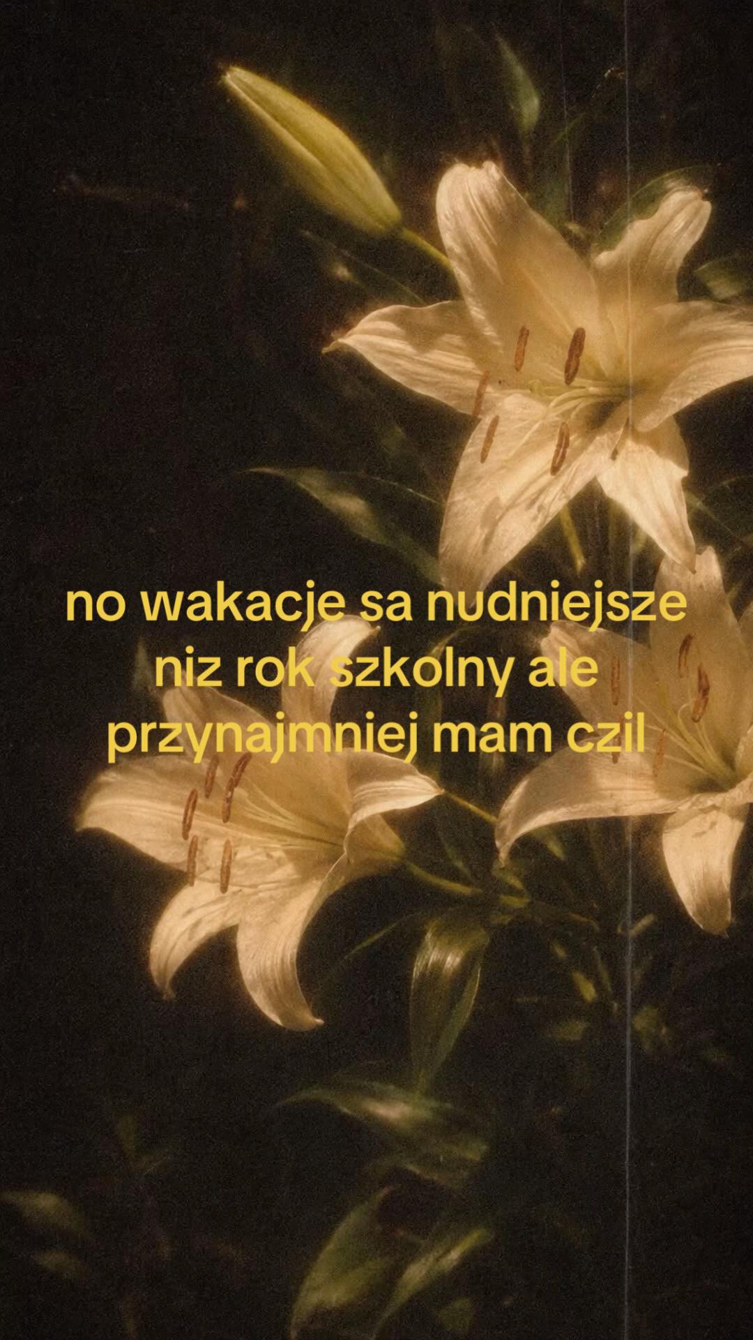 @wera 🪽