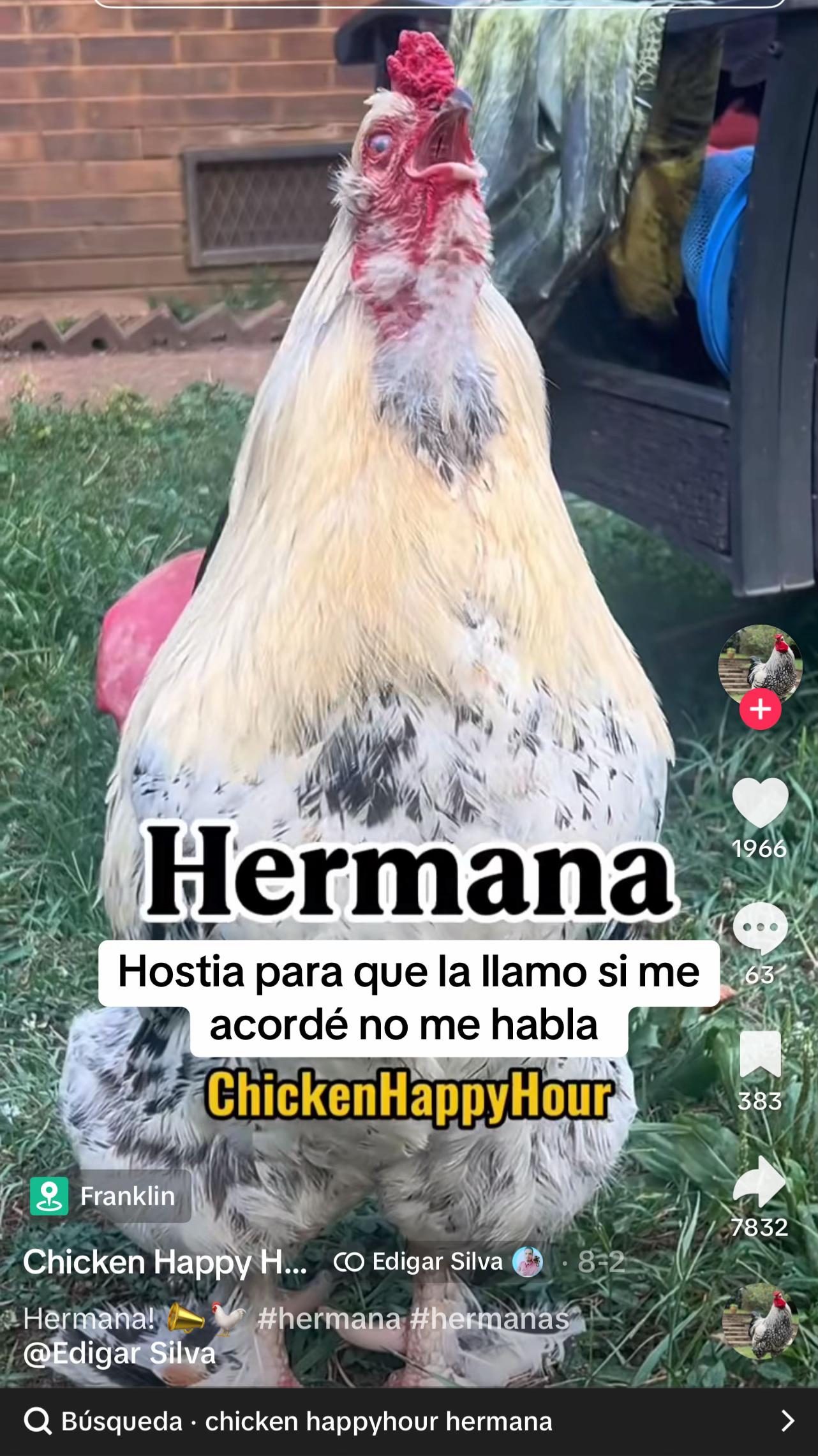 @Carmen Tomás 13
