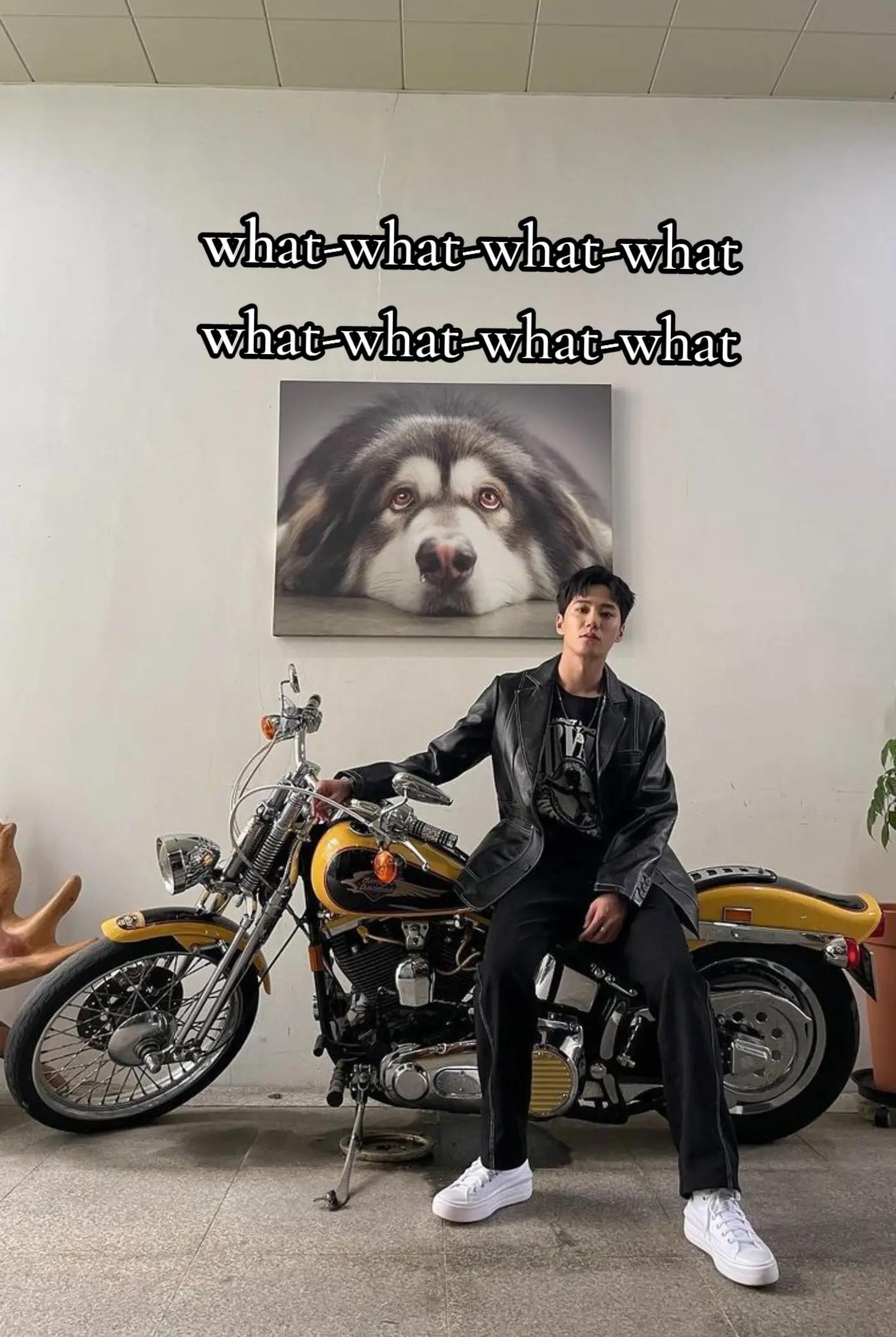 @dambılcan