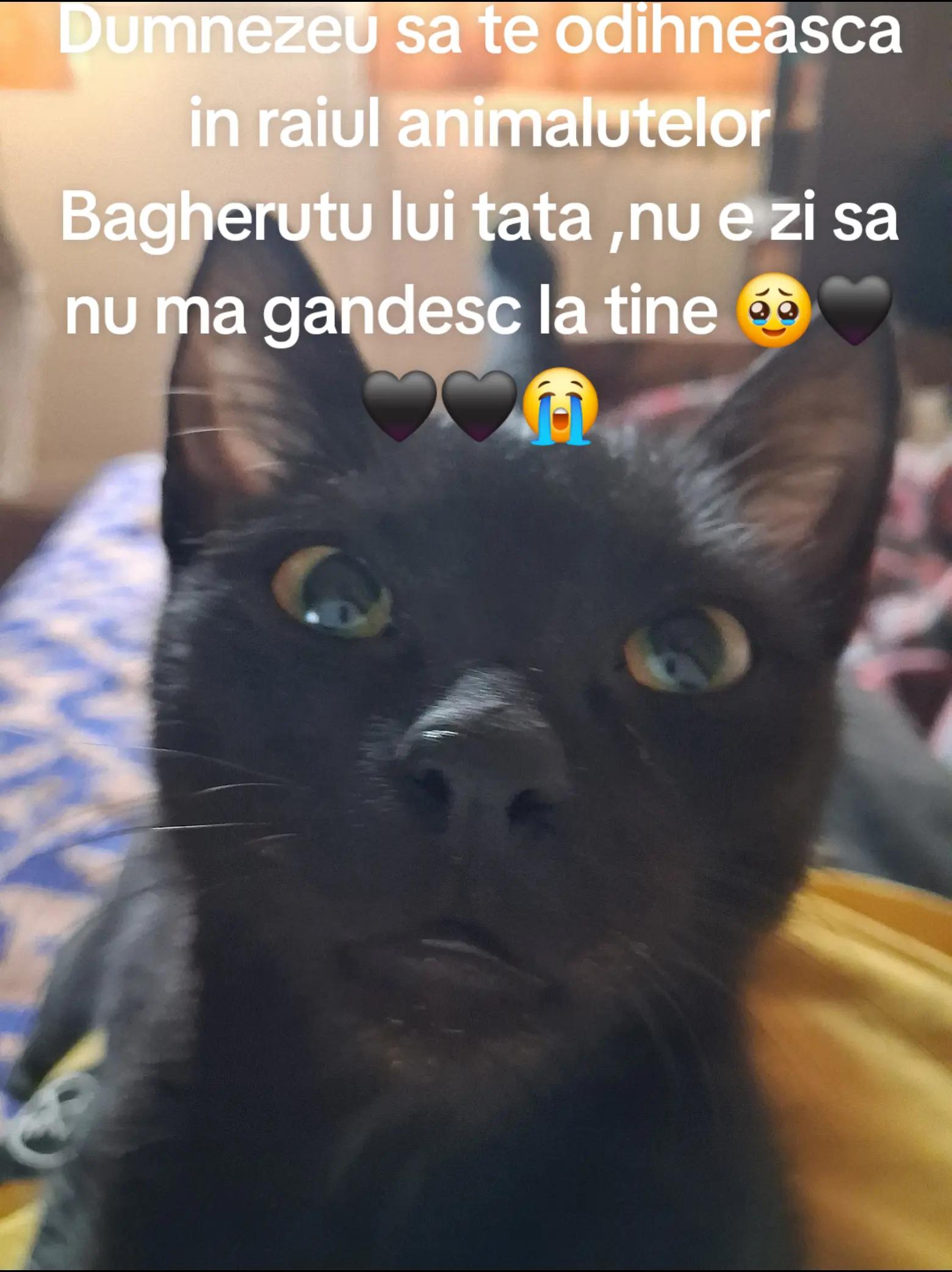 @giovannigiova