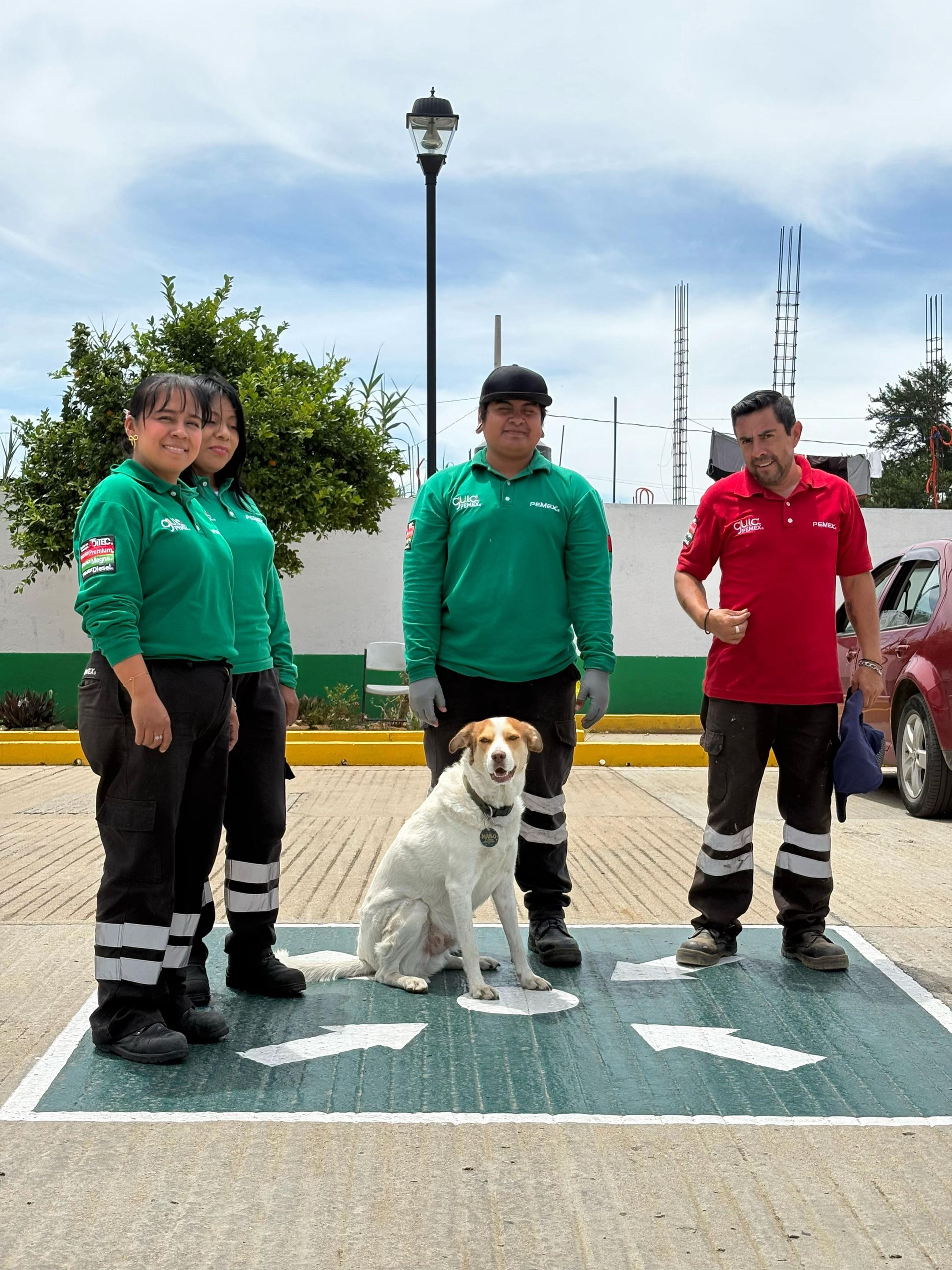 @Mailo el perro gasolinero