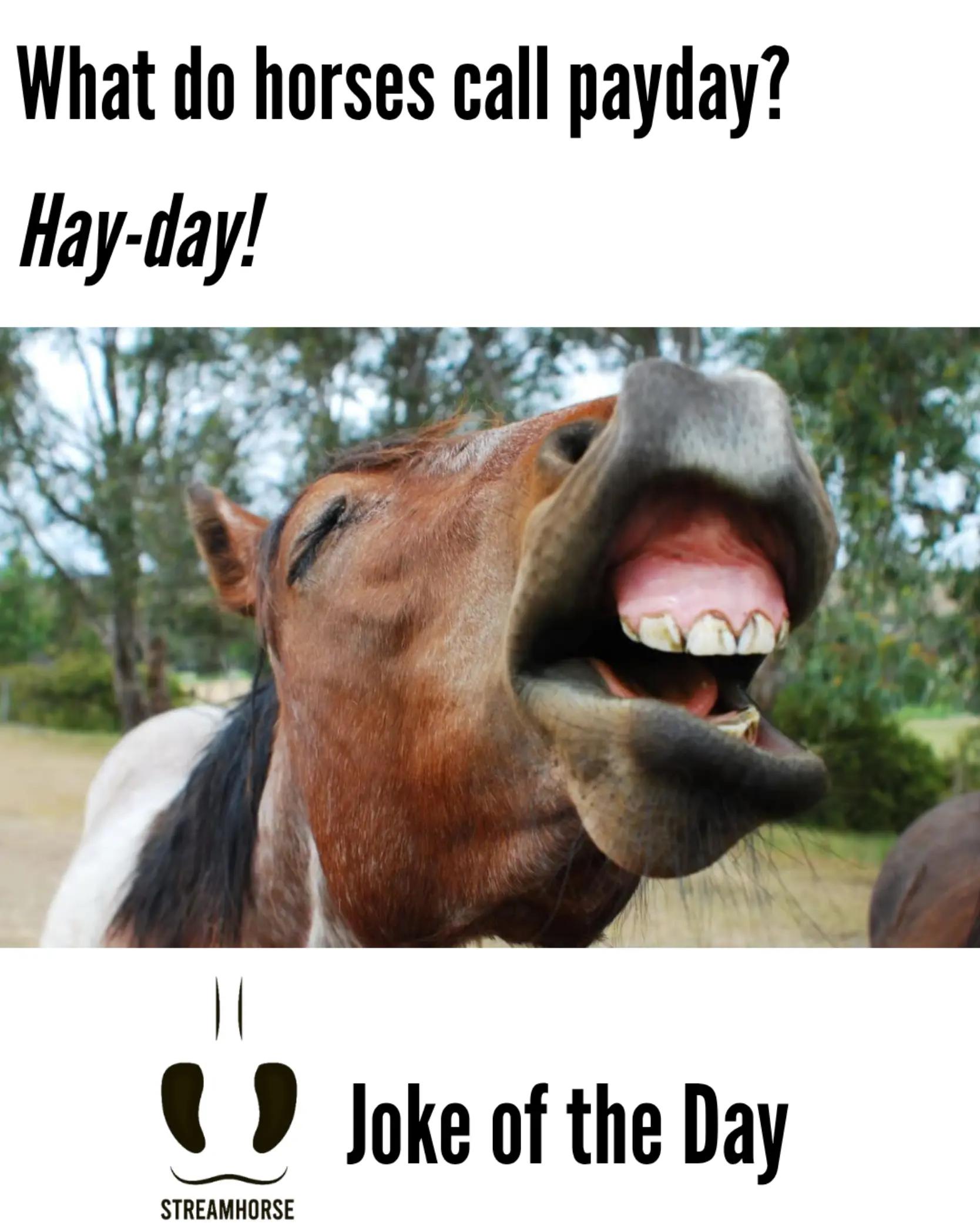 @streamhorse