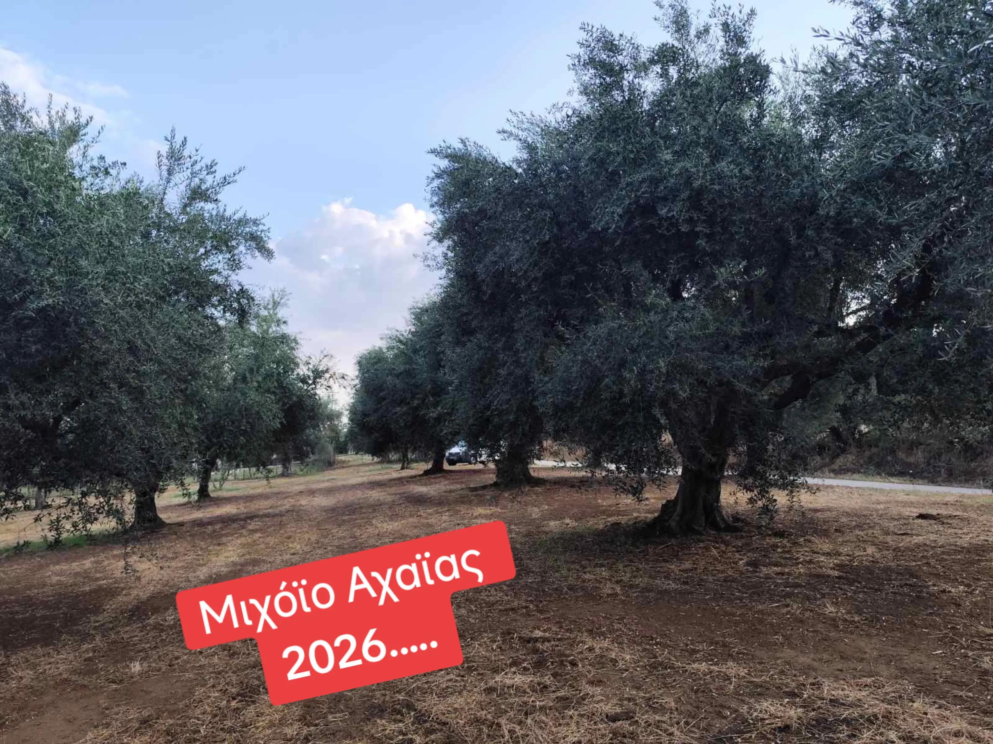 @&Alpha;&gamma;&alpha;&lambda;&iota;&alpha;&nu;ό&sigmaf; &Iota;&omega;ά&nu;&nu;&eta;&sigmaf; &Gamma;&epsilon;&omega;&pi;ό&nu;&omicron;&sigmaf;