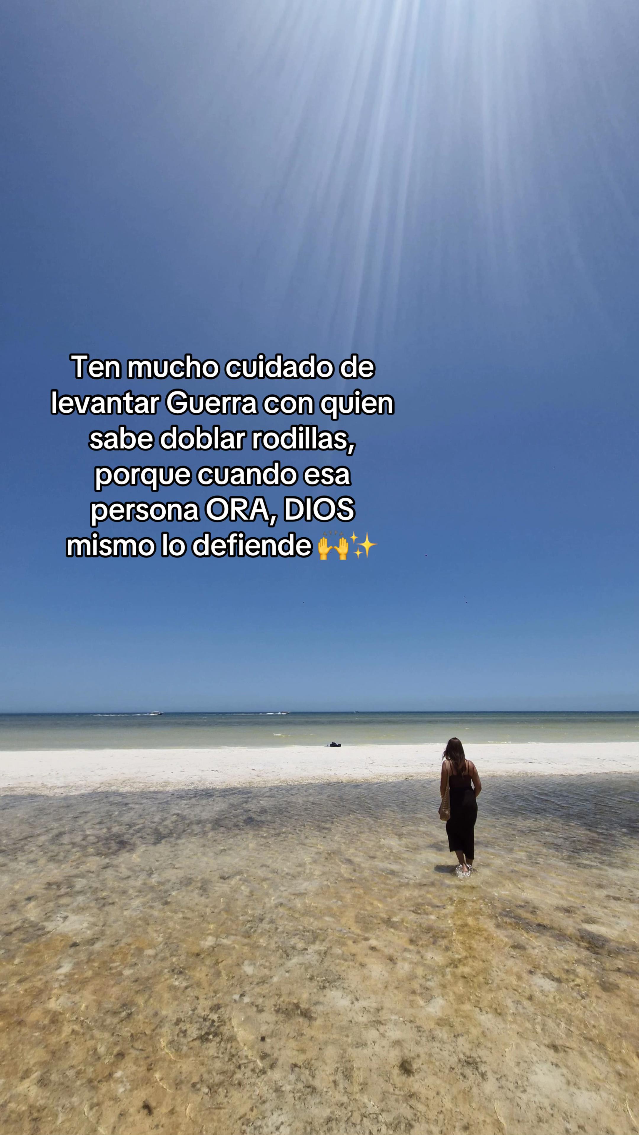 @Alle Abarca