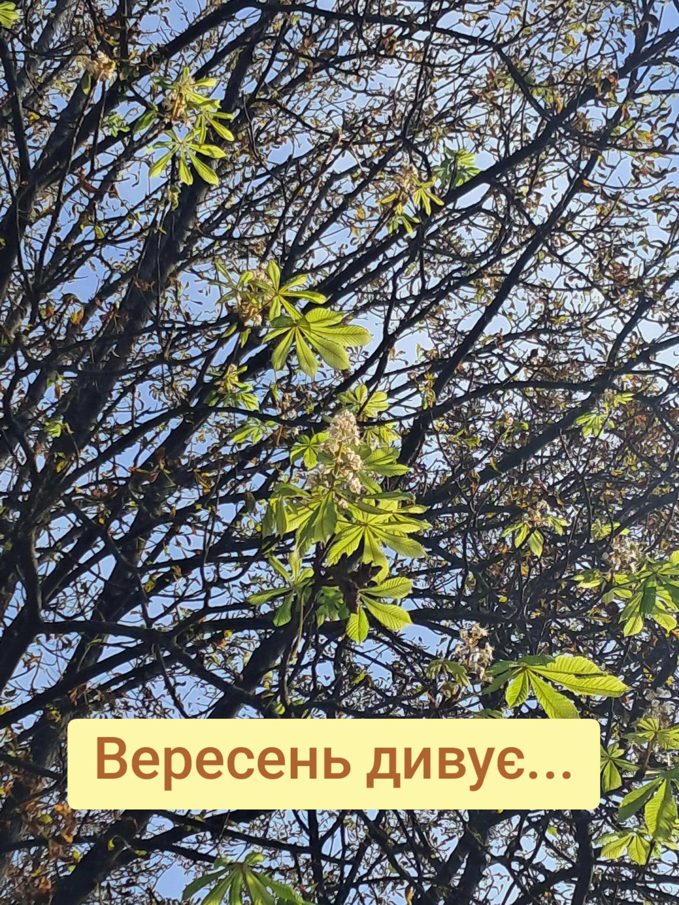 @1ринк@