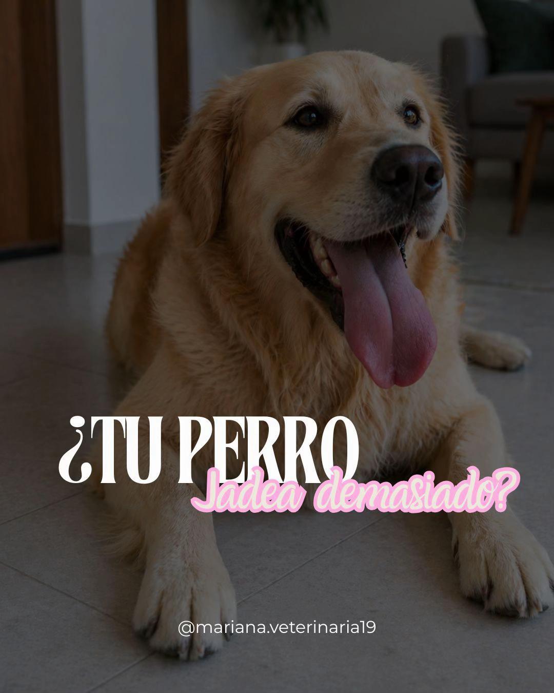 @Mariana Parra
