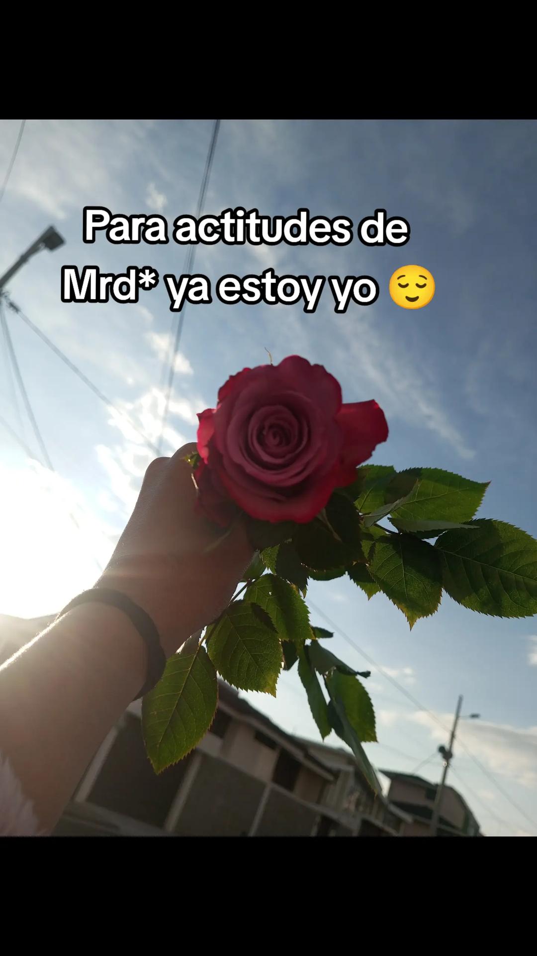 @Zambrano 🖤