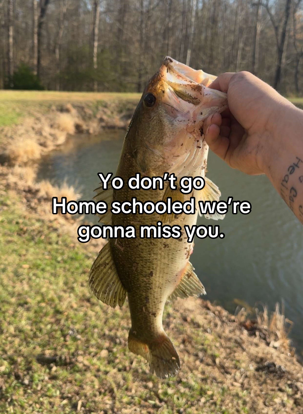 @Hollin.